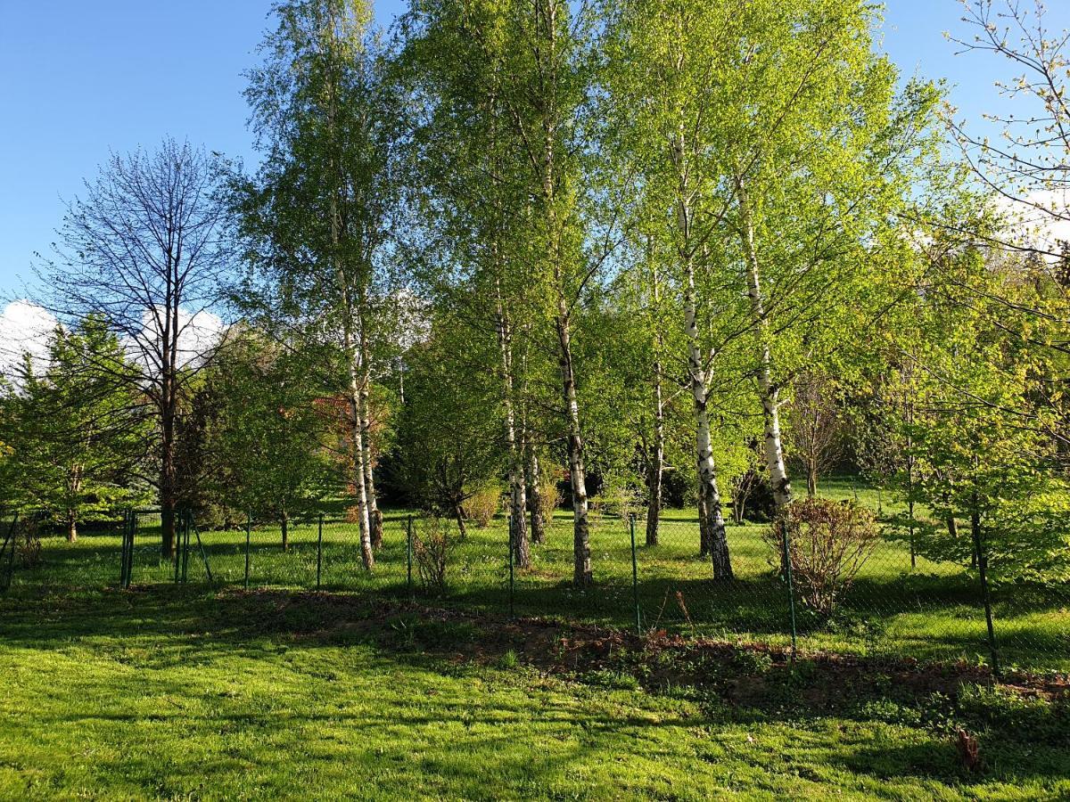 Pokoje Karkonosze Пшесека Экстерьер фото